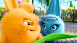 انیمیشن سانی بانیز قسمت 465 - sunny bunnies